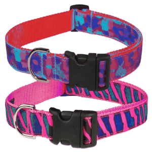 Collar for Pet