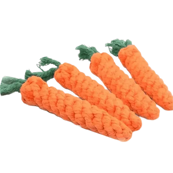 Carrot Shape Rope toy for pet set of 4