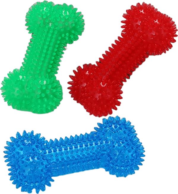Spike Bone Toy for Dog