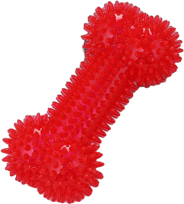 Silicon Spike Bone Toy for Pets - Image 4