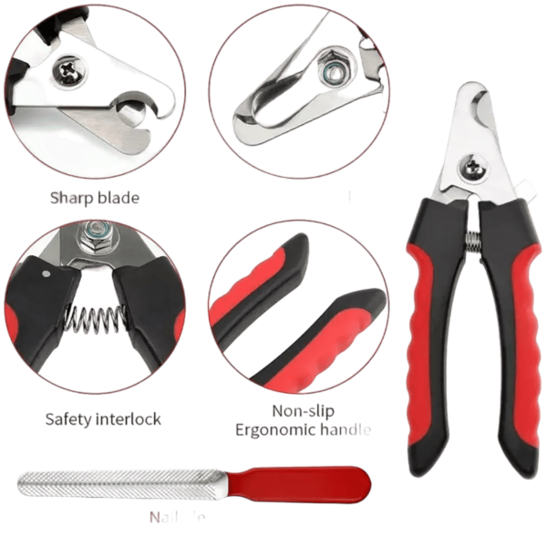 Nail Cutter with Filer (Combo) for Pet - 1 Pc - Image 5