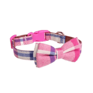 Collar with Bow