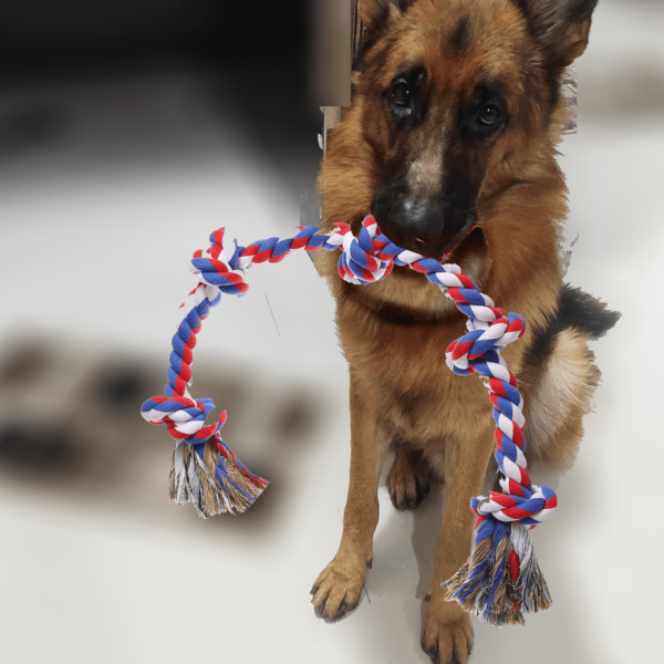 Tug Rope Toys for Pet 6 Knots - 106cm x 7cm x 7cm - 2Pcs - Image 3