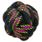Outdoor dog toy for fetch and play