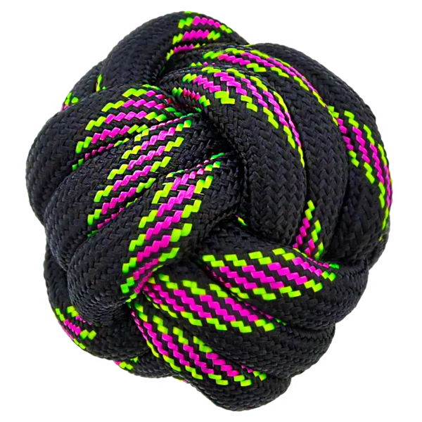 Outdoor dog toy for fetch and play