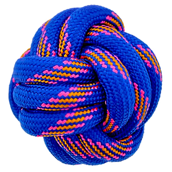 Dog chewing knotted rope ball