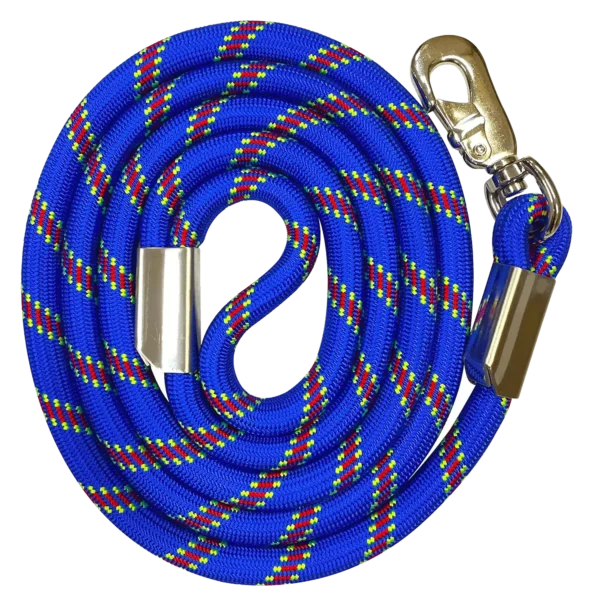 Happy Bernese Mountain Dog on Mountain Dog Leash and Collar