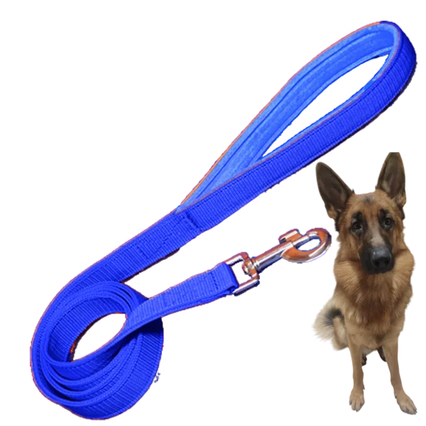 Happy dog walking with a comfortable padded dog leash