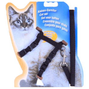 A collection of the best escape proof cat harness and lead sets available in India