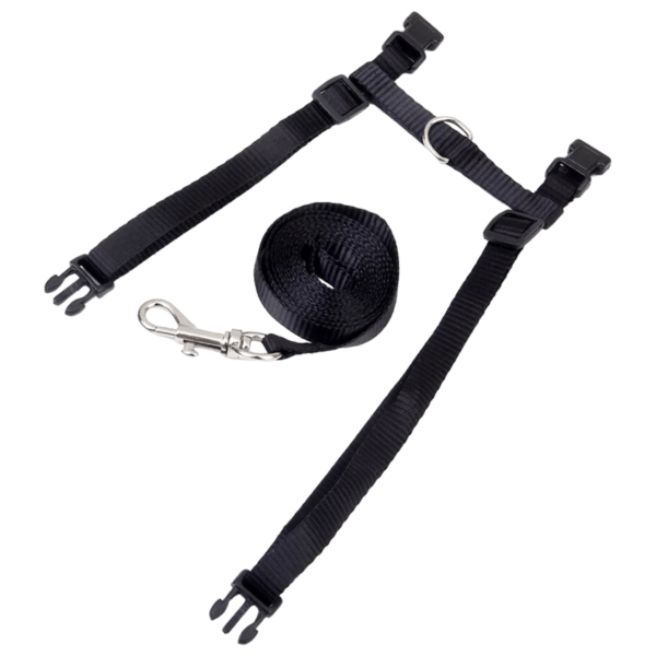 Close-up of an adjustable harness for cats showing the secure straps