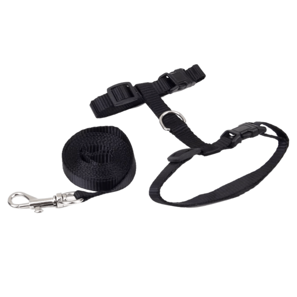 A cute cat harness and leash with a floral pattern