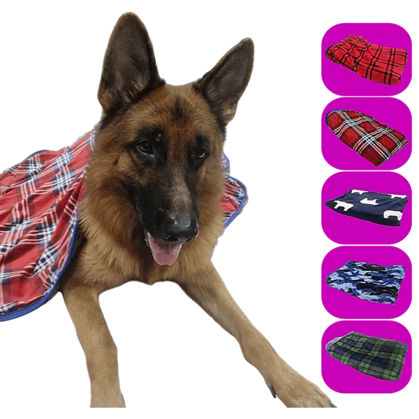 Bright color dog blanket for playful puppies